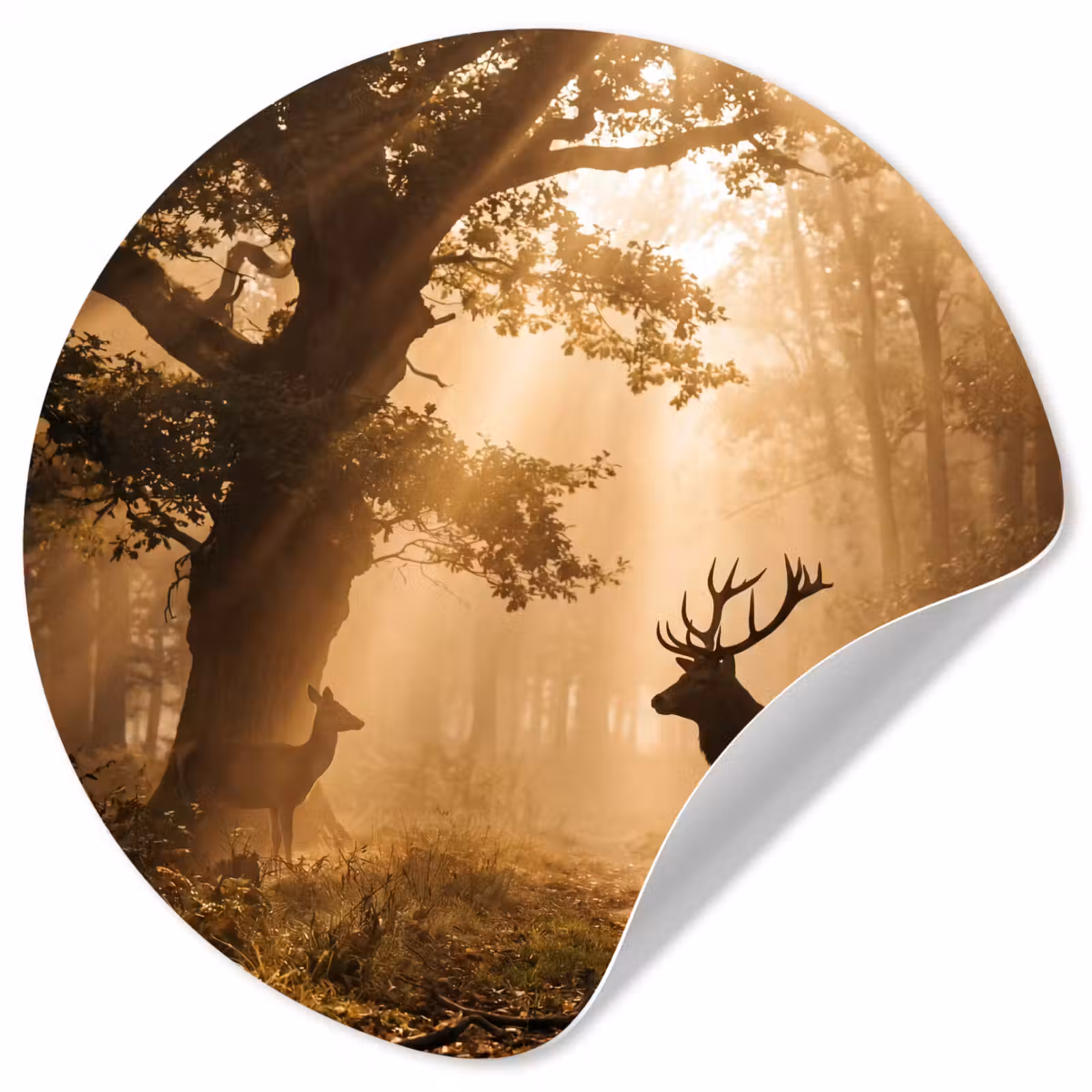 Behangcirkel - Hert - Bos - Mistig - Natuur - Goud — 1