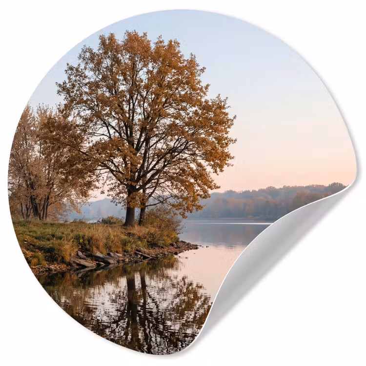 Behangcirkel - Bomen - Reflectie - Water - Zonsopgang - Serene — 1