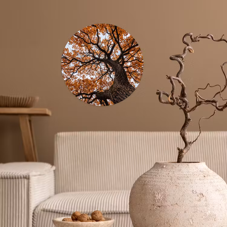 Behangcirkel - Boom - Bladerdak - Herfst - Oranje - Sfeervol — 2
