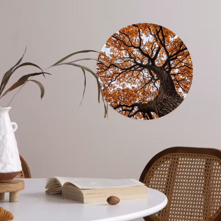 Behangcirkel - Boom - Bladerdak - Herfst - Oranje - Sfeervol — 4