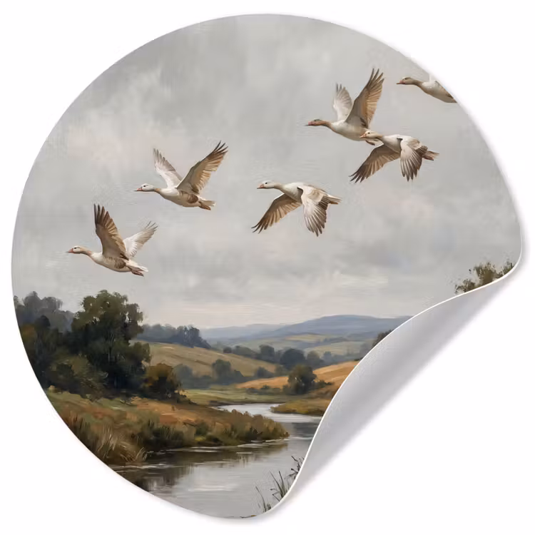 Behangcirkel - Eenden - Rivier - Landschap - Vlucht - Nostalgisch — 1