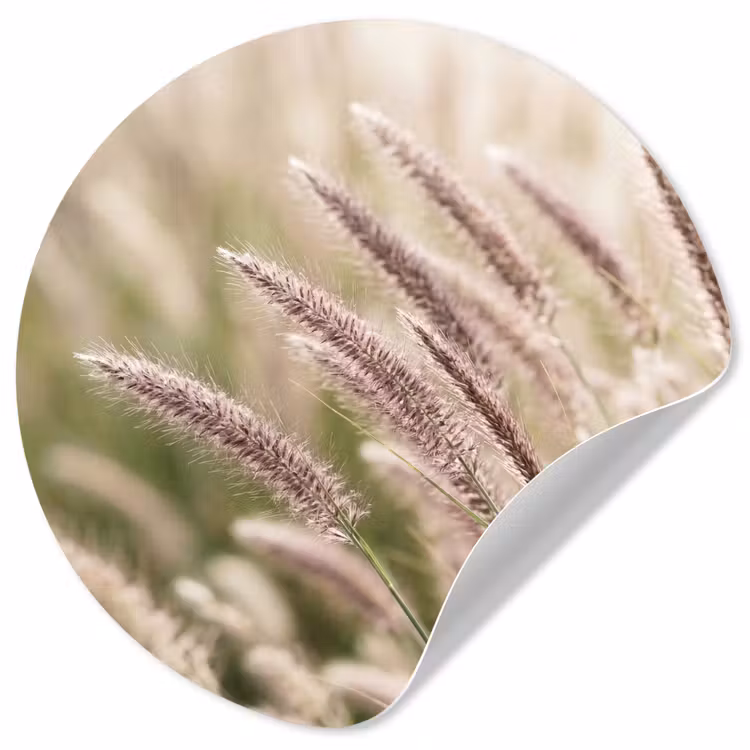 Behangcirkel - Gras - Close up - Groen — 1