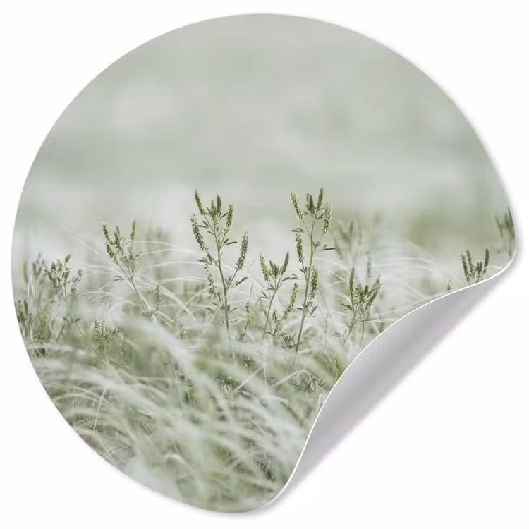 Behangcirkel - Grassen - Minimalistisch - Groen — 1