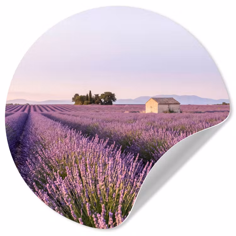 Behangcirkel - Lavendel - Landschap - Sereen - Paars — 1