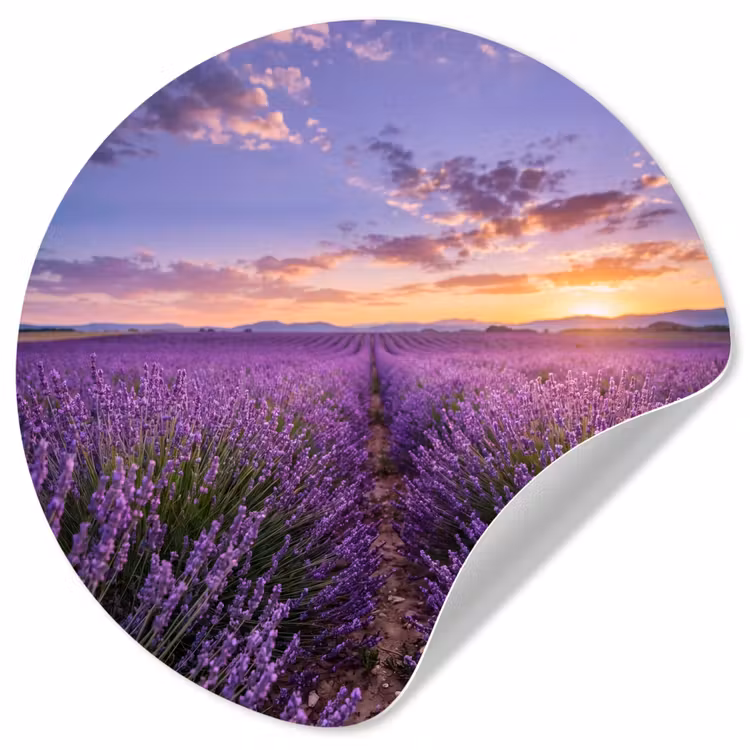 Behangcirkel - Lavendel - Veld - Natuur - Paars — 1