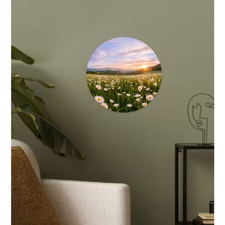 Behangcirkel - Madelief - Veld - Heuvels - Groen — 3