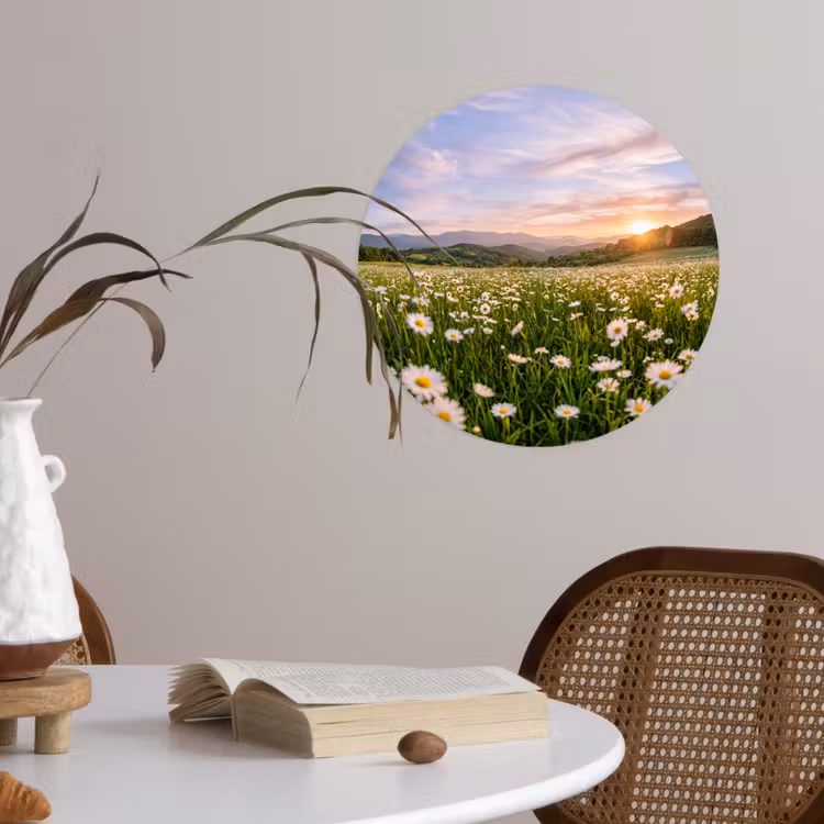 Behangcirkel - Madelief - Veld - Heuvels - Groen — 4