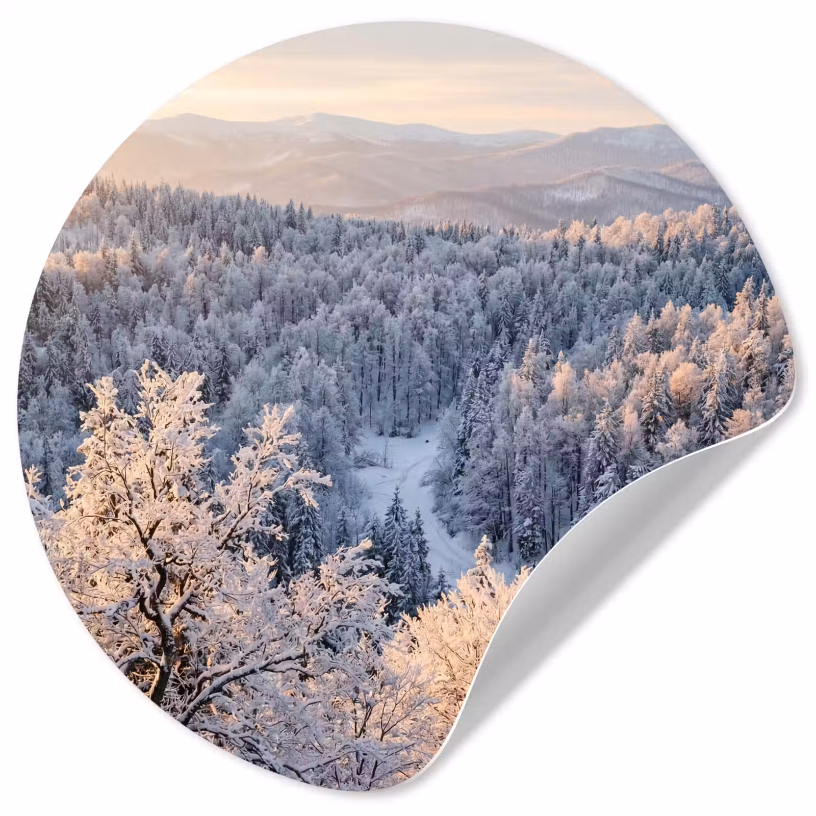 Behangcirkel - Bos - Bergen - Goud - Winter - Warm — 1