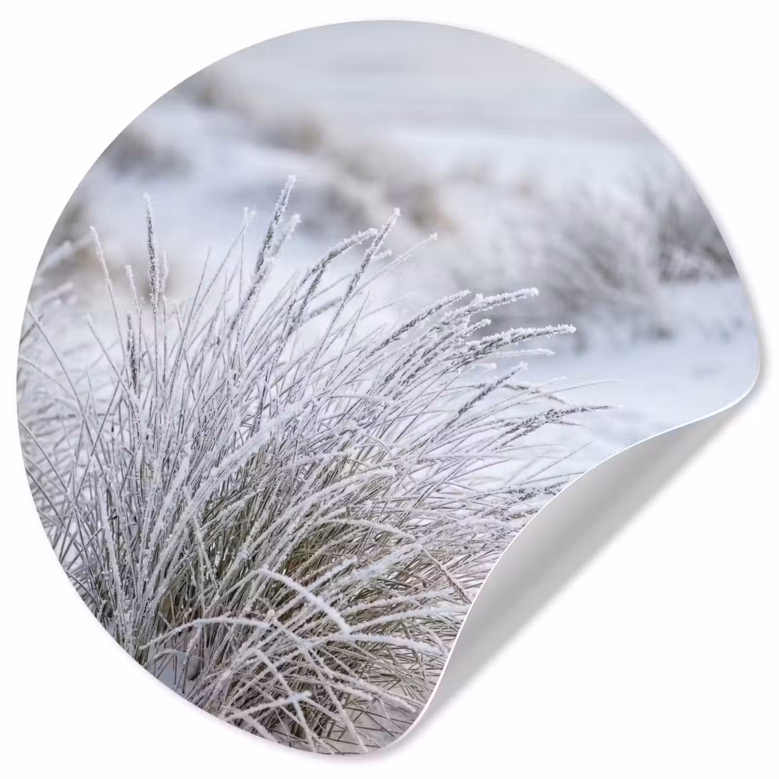 Behangcirkel - Duinen - Sneeuw - Strand - Winter - Serene — 1