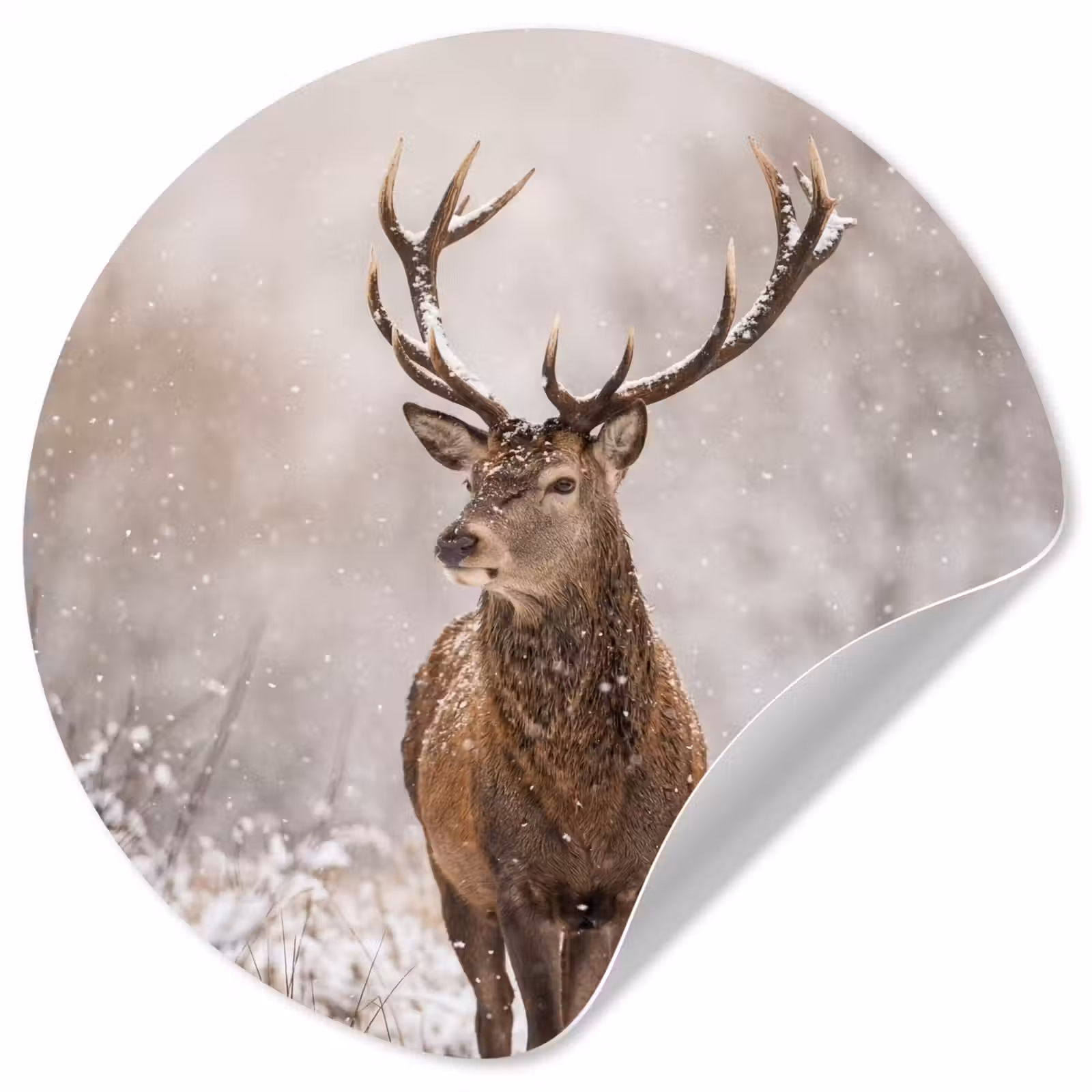Behangcirkel - Edelhert - Bos - Sneeuw - Winter - Majestueus — 1