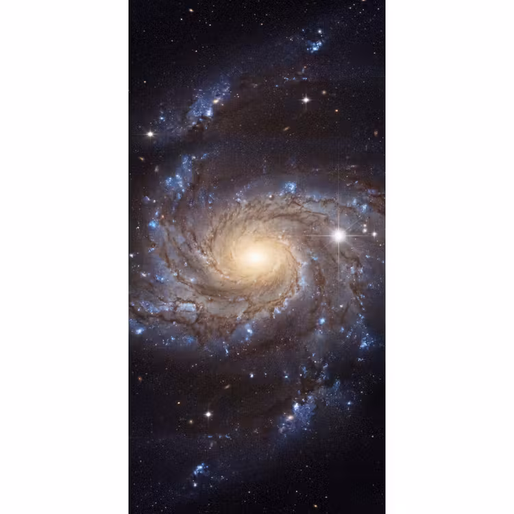 Behang - Kosmos - Sterrenstelsel - Donker — 2