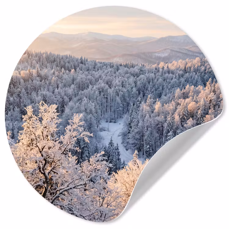 Behangcirkel - Bos - Bergen - Goud - Winter - Warm — 1