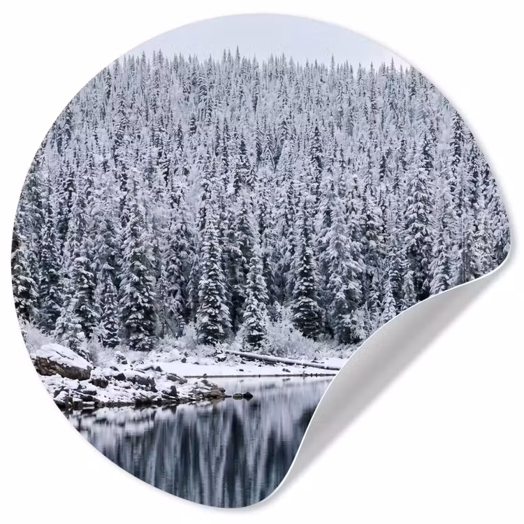Behangcirkel - Bos - Reflectie - Meer - Winter - Serene — 1