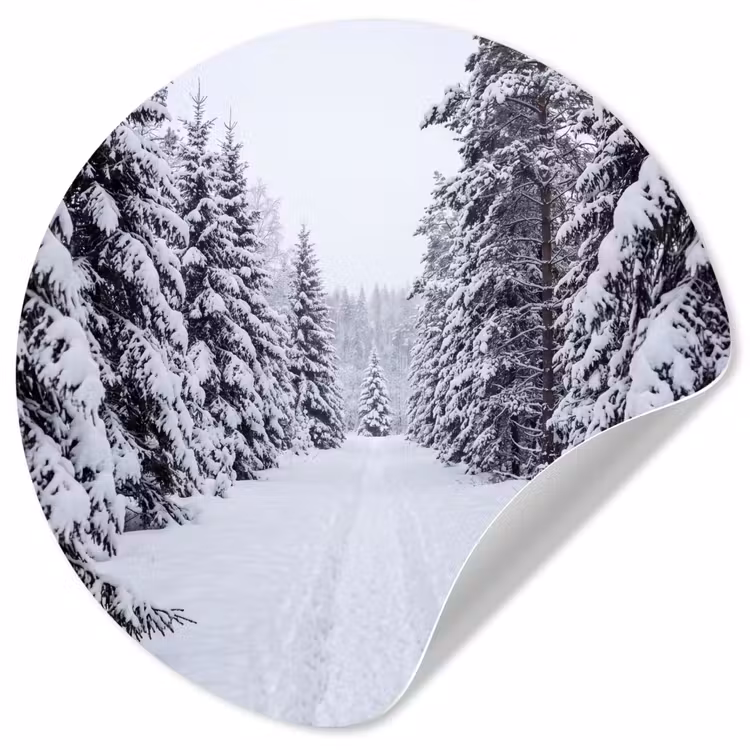 Behangcirkel - Bos - Winter - Sneeuw - Pad - Natuur — 1