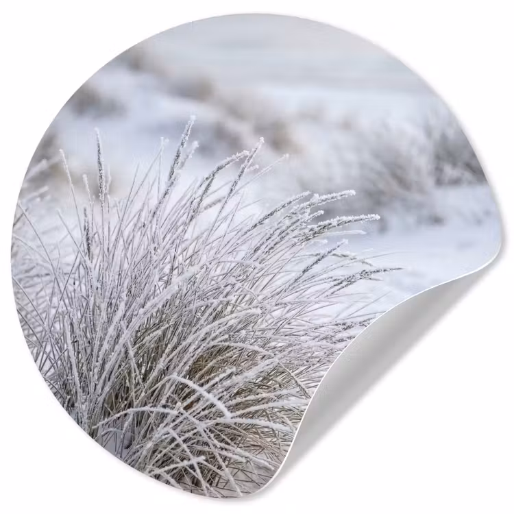 Behangcirkel - Duinen - Sneeuw - Strand - Winter - Serene — 1