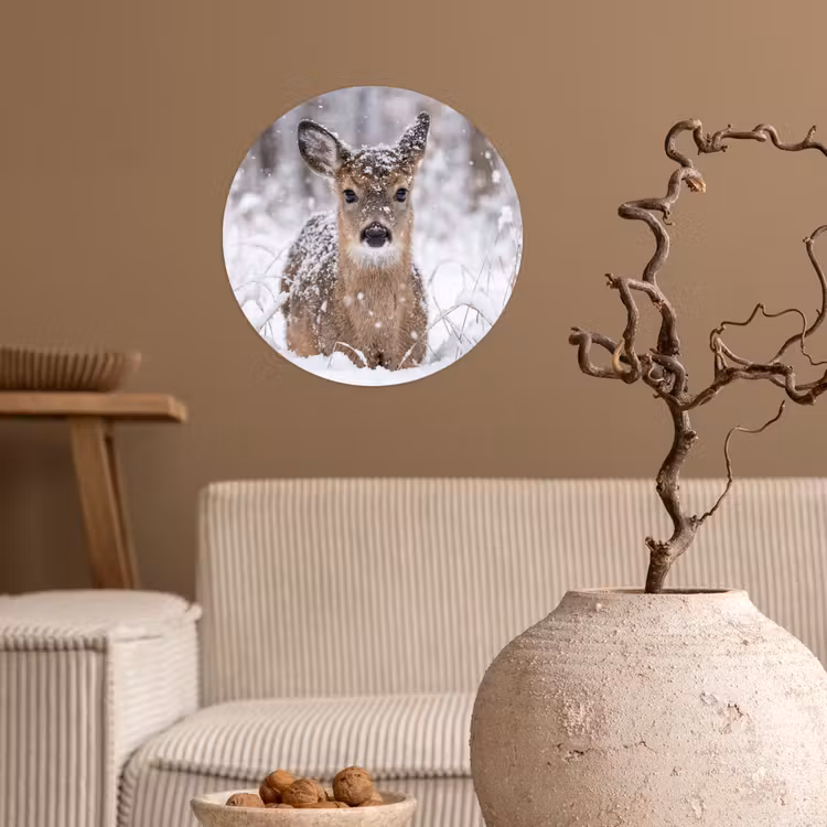Behangcirkel - Hert - Sneeuw - Bos - Dieren - Vertederend — 2