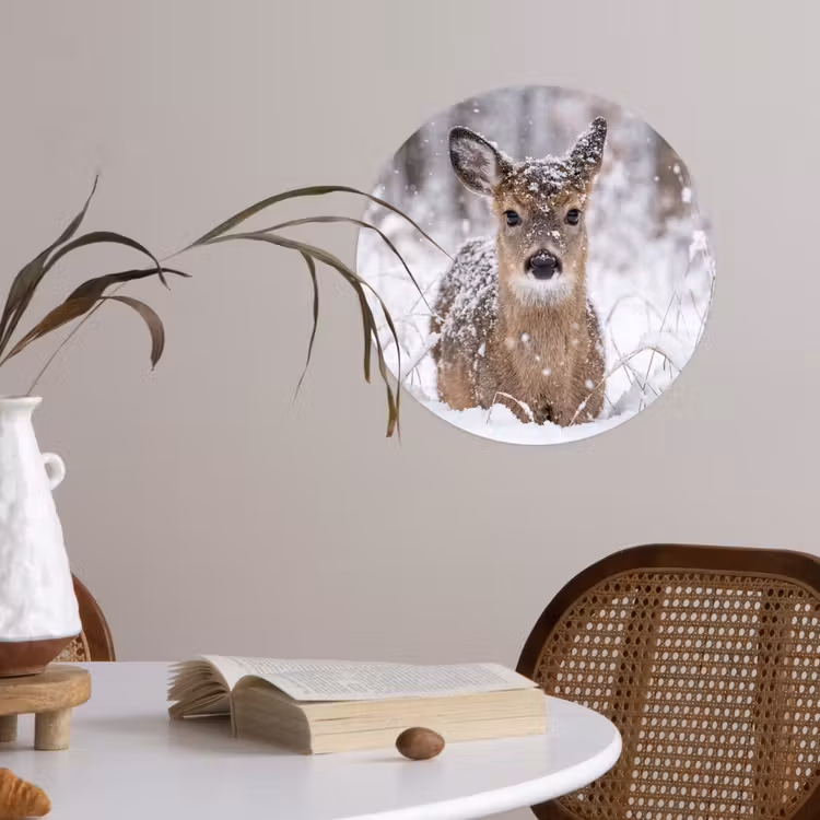 Behangcirkel - Hert - Sneeuw - Bos - Dieren - Vertederend — 4