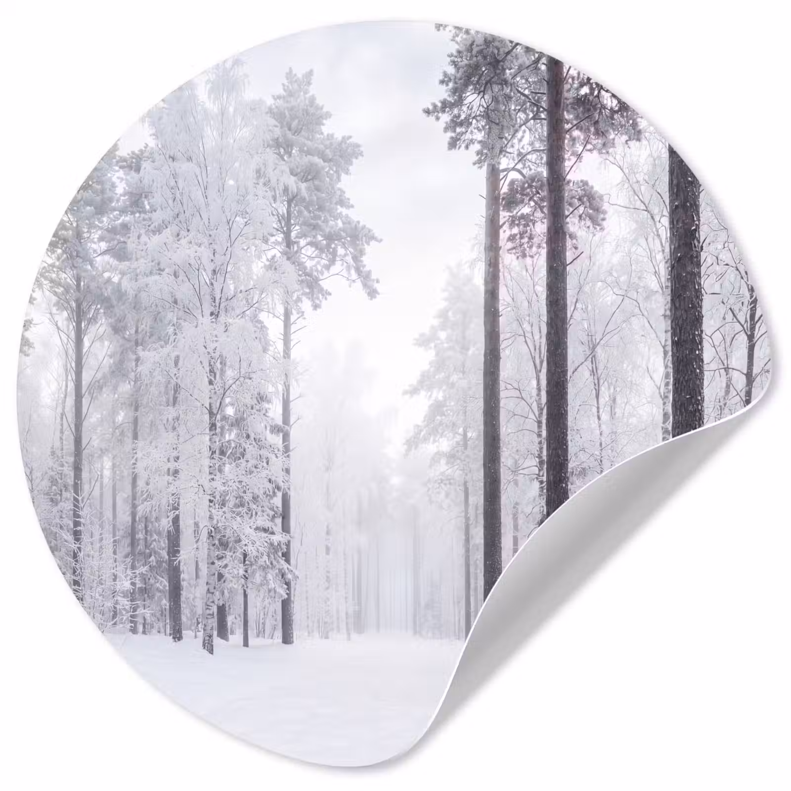 Behangcirkel - Bos - Sneeuw - Pad - Winter - Stilte — 1