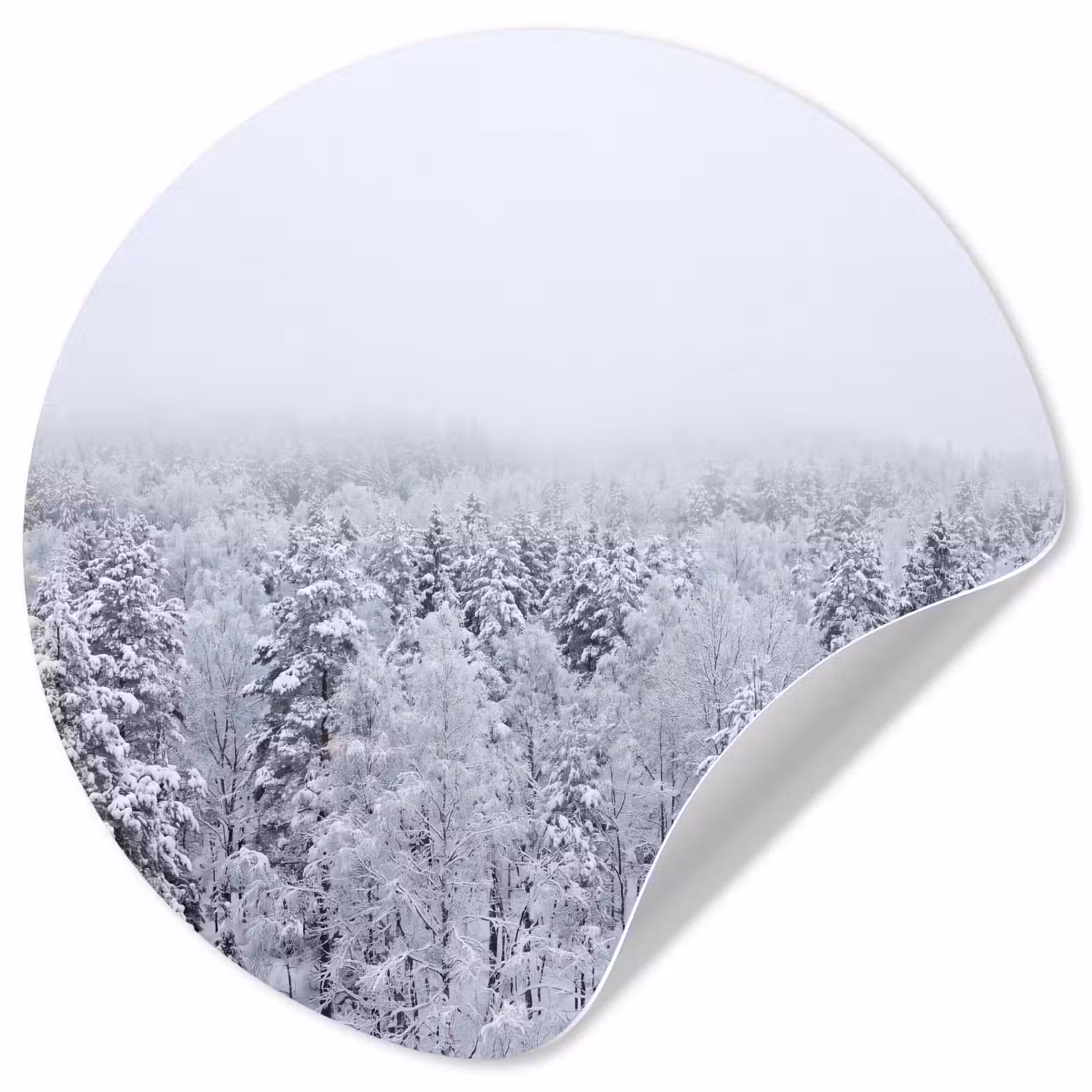 Behangcirkel - Bos - Sneeuw - Winter - Natuur - Wit — 1