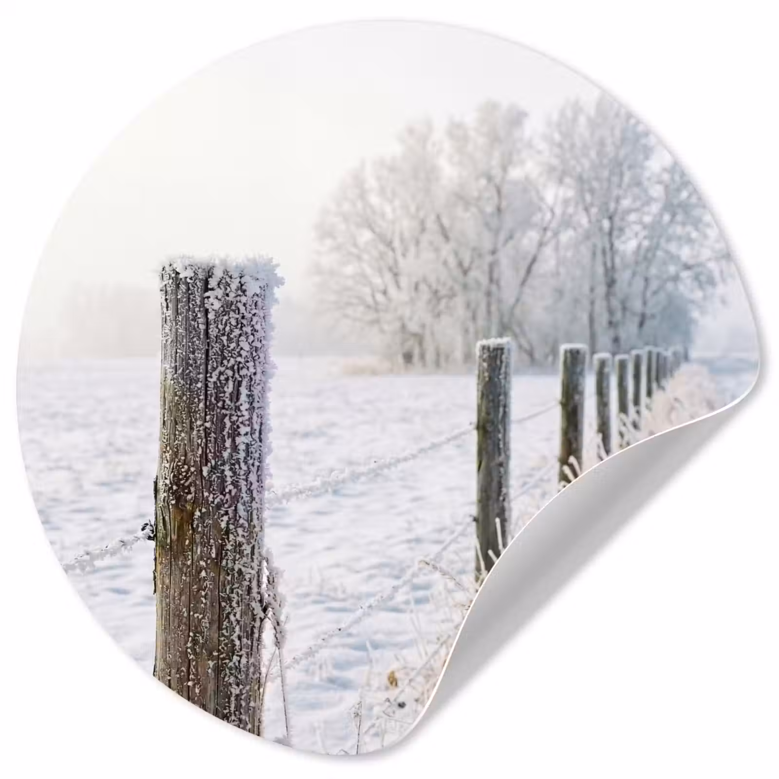 Behangcirkel - Hek - Sneeuw - Mist - Platteland - Nostalgisch — 1