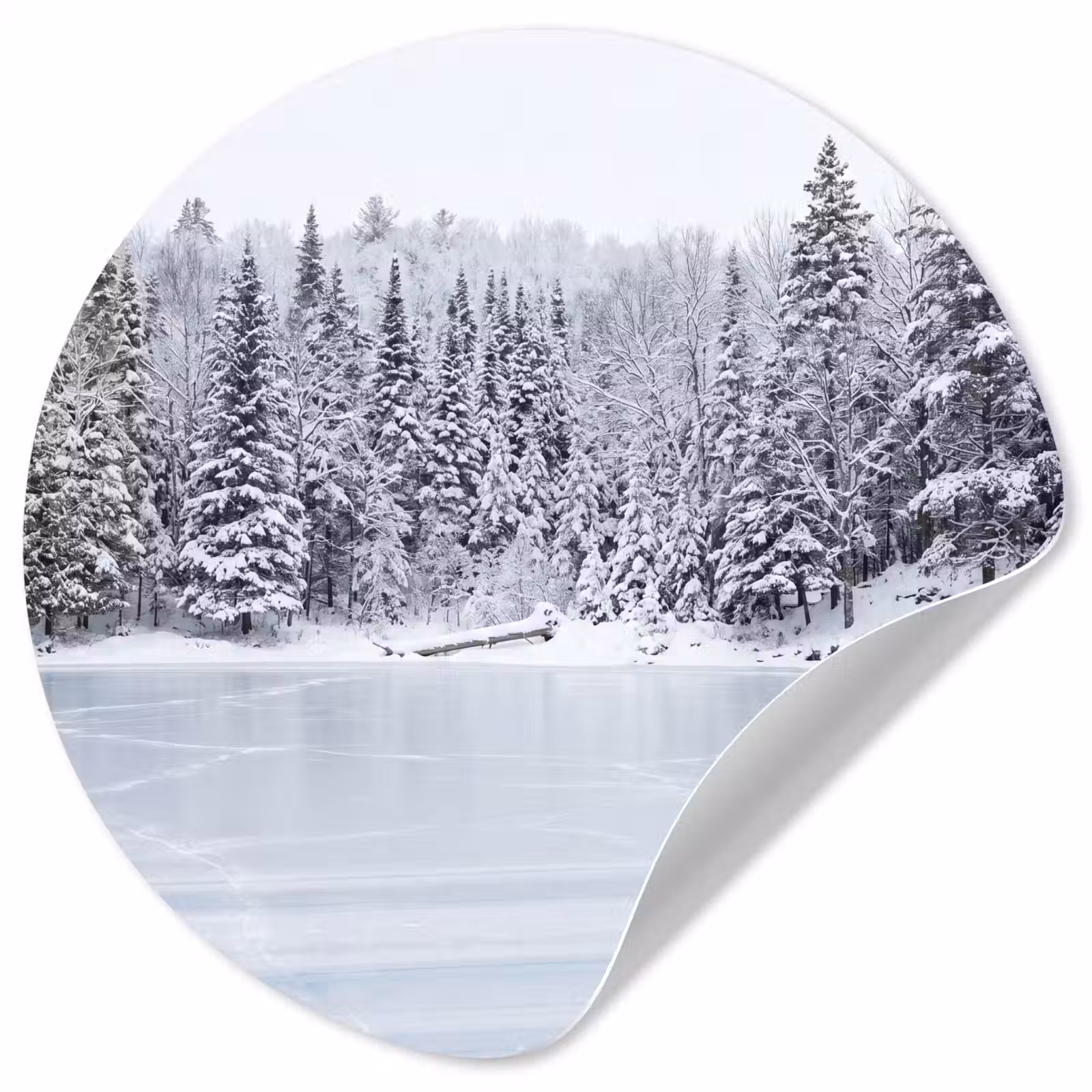Behangcirkel - Meer - Dennen - IJs - Winter - Rustgevend — 1