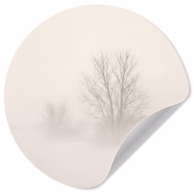 Behangcirkel - Boom - Mist - Sneeuw - Winter - Minimalistisch — 1