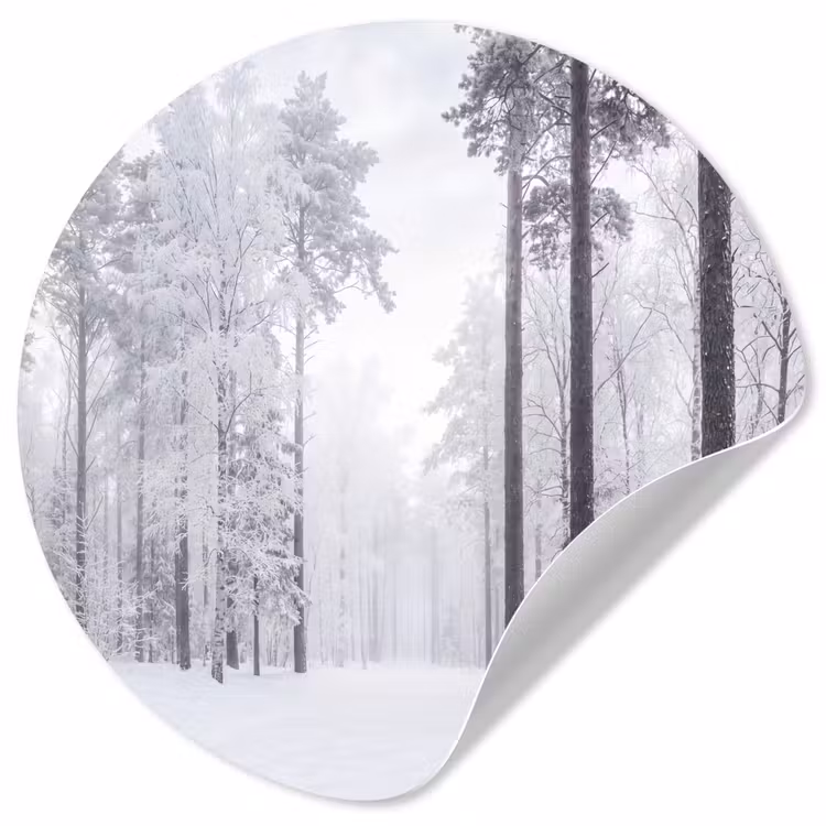 Behangcirkel - Bos - Sneeuw - Pad - Winter - Stilte — 1