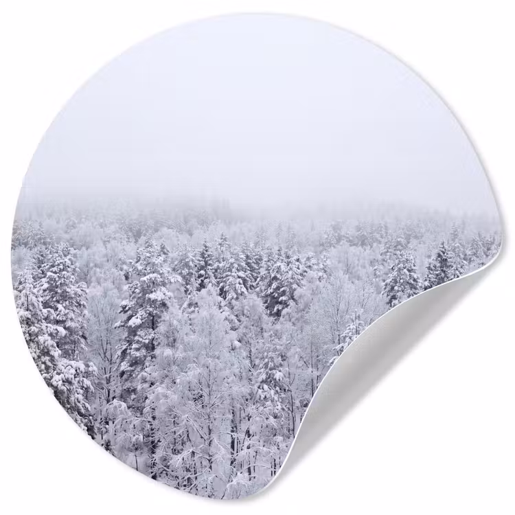 Behangcirkel - Bos - Sneeuw - Winter - Natuur - Wit — 1