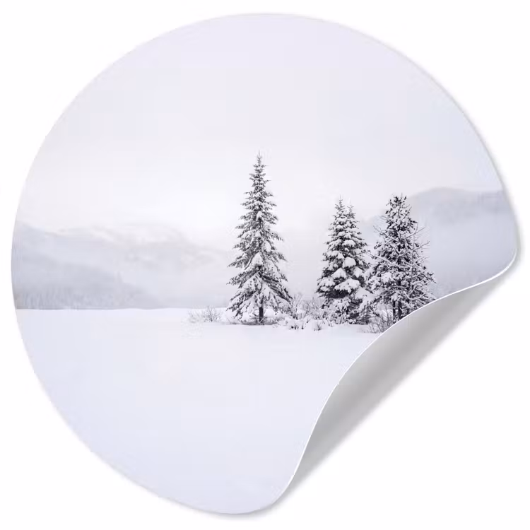 Behangcirkel - Fijnsparren - Sneeuw - Winter - Landschap - Stilte — 1