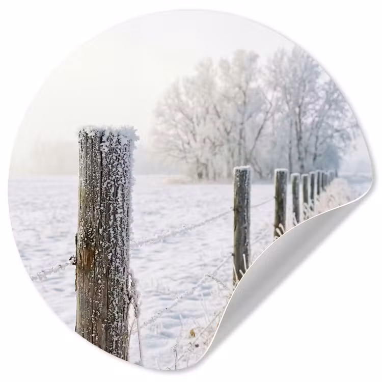 Behangcirkel - Hek - Sneeuw - Mist - Platteland - Nostalgisch — 1
