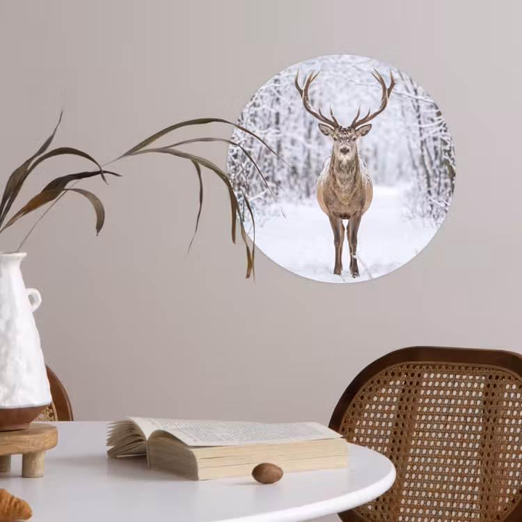 Behangcirkel - Hert - Winter - Bos - Natuur - Wit — 4