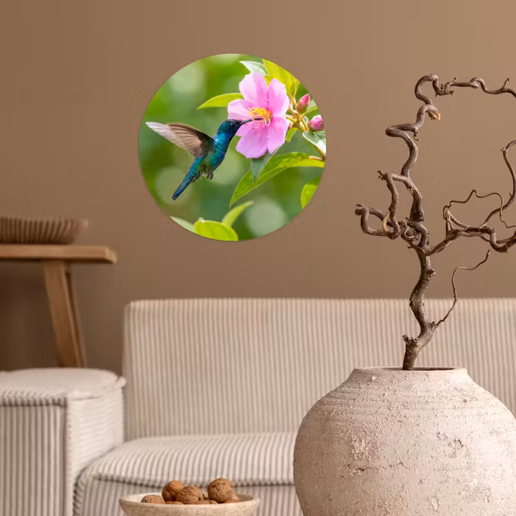 Behangcirkel - Kolibrie - Bloem - Natuur - Groen — 2
