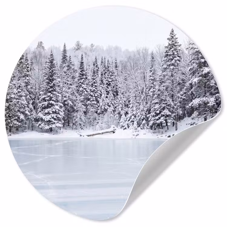 Behangcirkel - Meer - Dennen - IJs - Winter - Rustgevend — 1