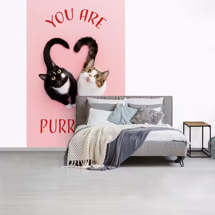 Behang - Kat - Hart - Tekst - Valentijn — 2