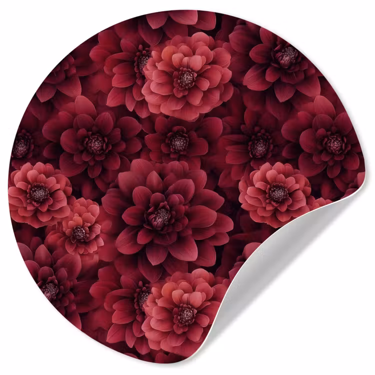 Behangcirkel - Dahlias - Bloemen - Rood — 1