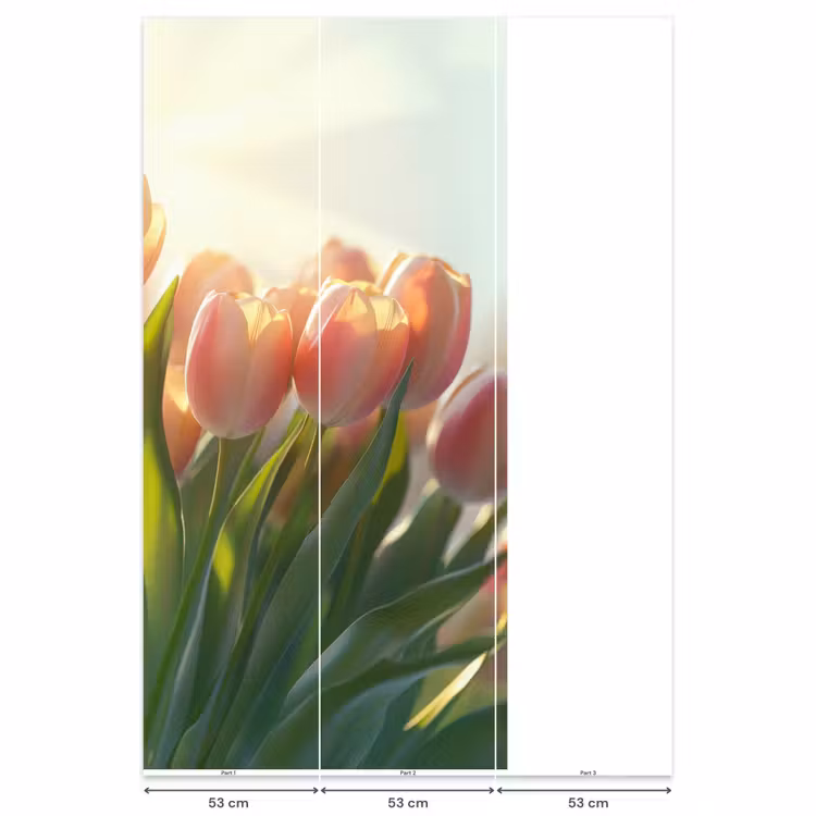Behang - Tulpen - Roze - Zonnestralen — 6