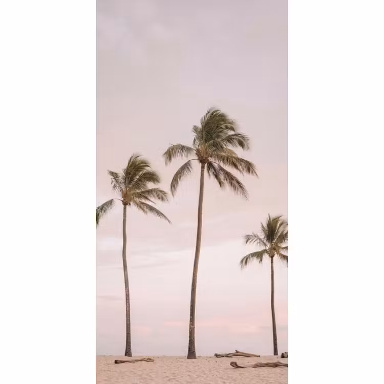 Behang - Palmbomen - Zonsondergang - Roze — 2