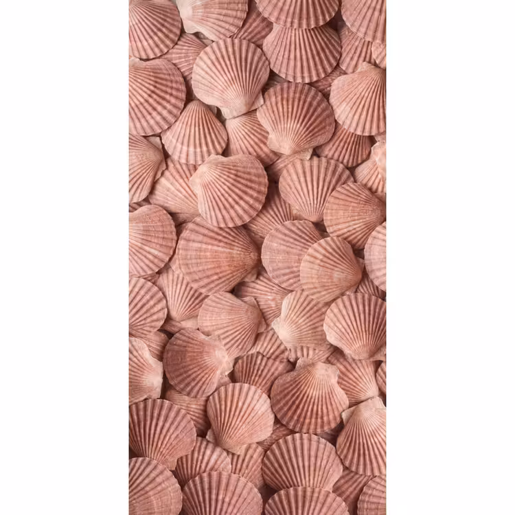 Behang - Schelpen - Patroon - Roze — 2