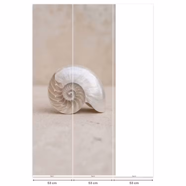Behang - Schelp - Spiraal - Beige — 6