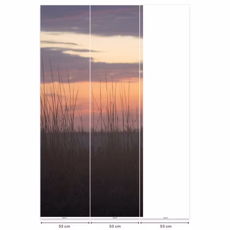 Behang - Natuur - Duin - Plant — 6