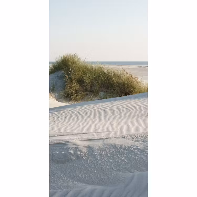 Behang - Strand - Natuur - Duin — 2