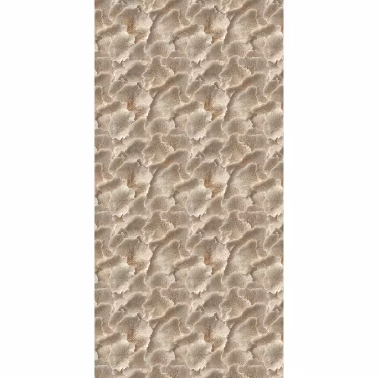 Behang - Waaierstructuren - Beige - Vezeltextuur — 2