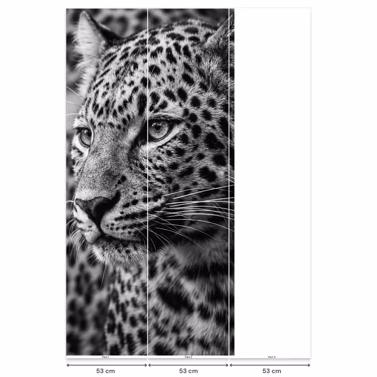 Behang - Luipaard - Zwart - Wit - Oog — 6