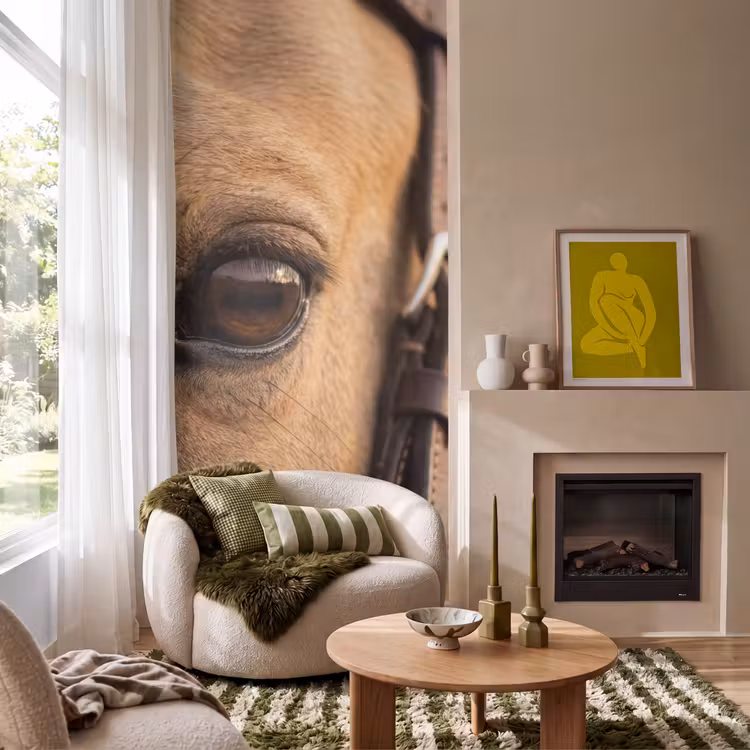 Behang - Pferd - Auge - Braun — 1