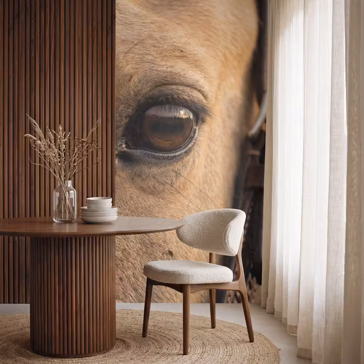 Behang - Pferd - Auge - Braun — 4