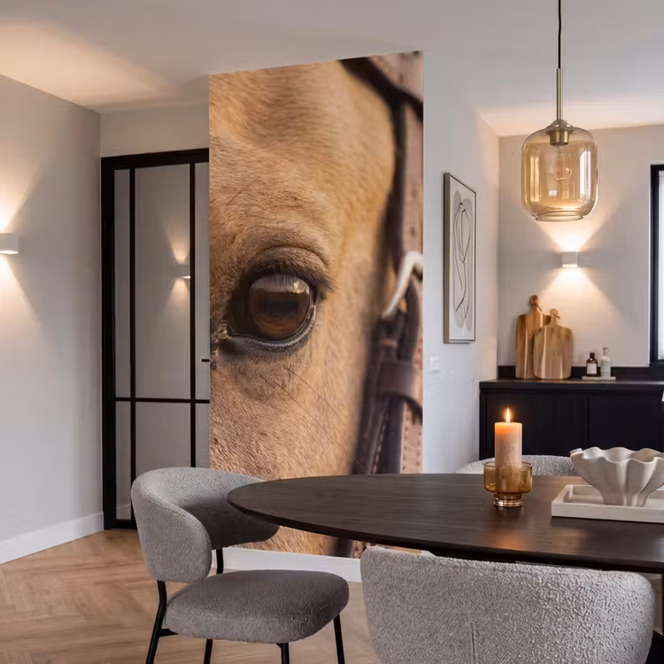 Behang - Pferd - Auge - Braun — 5