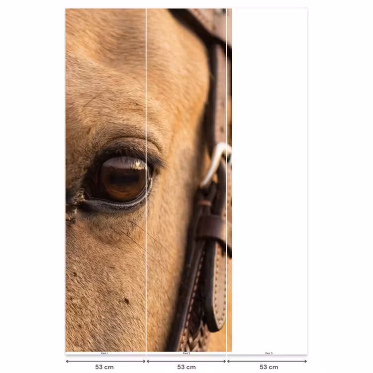 Behang - Pferd - Auge - Braun — 6