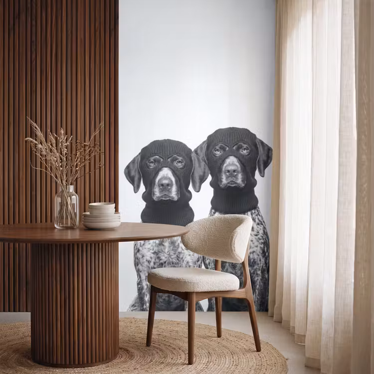 Behang - Honden - Bivakmuts - Zwart - wit — 4