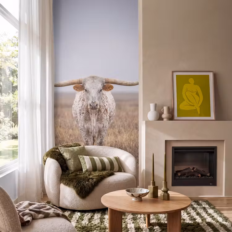 Behang - Longhorn - Grasveld - Dier — 1