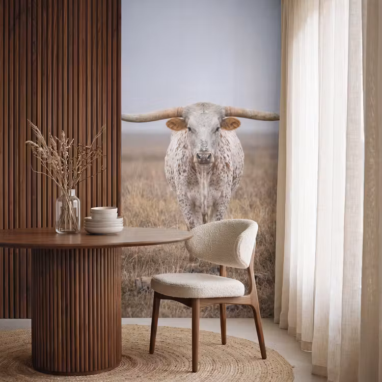 Behang - Longhorn - Grasveld - Dier — 4